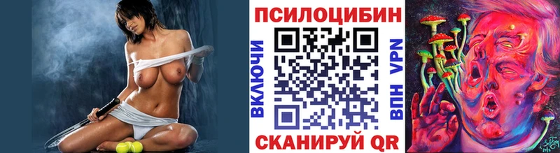 ОМГ ОМГ tor  Керчь  Псилоцибиновые грибы Psilocybe 